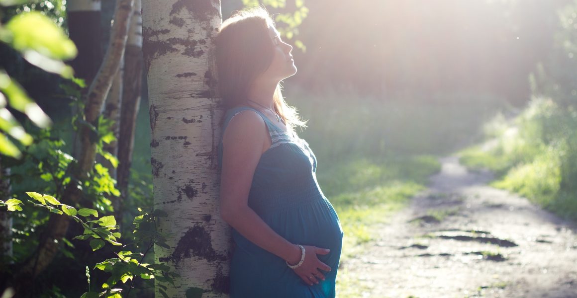 gravid dame ute i naturen bjørk sol